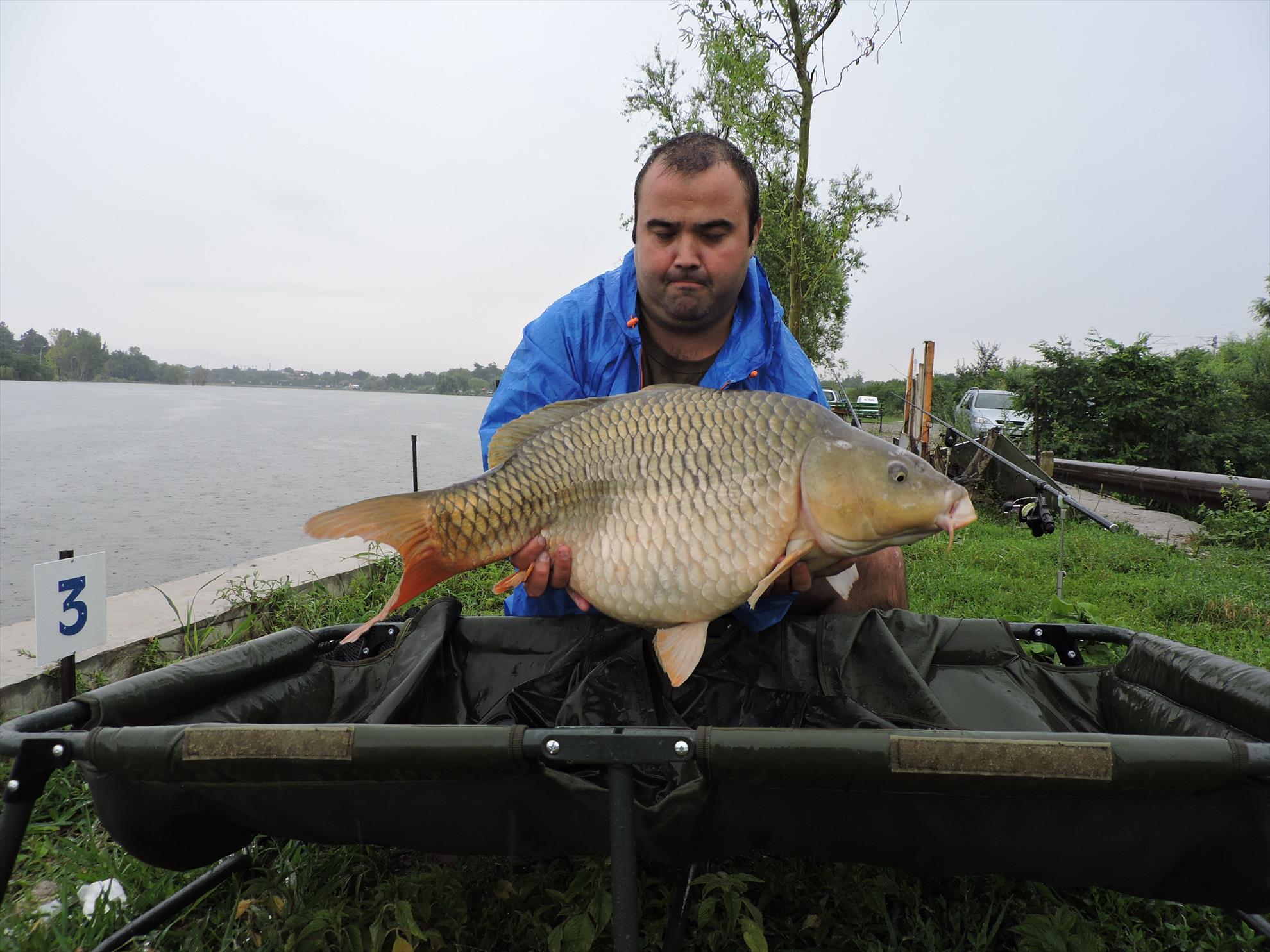 My Passion - dscn2700.JPG